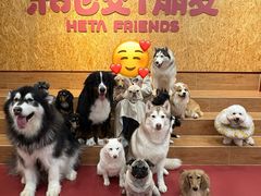 -和它·交个朋友·狗咖猫咖(爱琴海店)