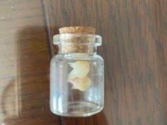 -齐玉齿科JADENTAL