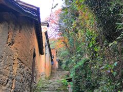 -杨家堂村