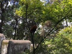-昆明动物园