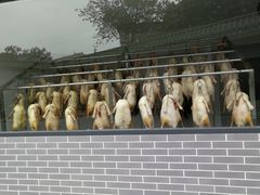 -粥旺庄(芳村店)
