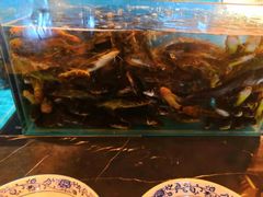 -富力丽思卡尔顿酒店·香荟全日制餐厅