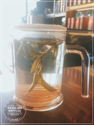 -诗全发型