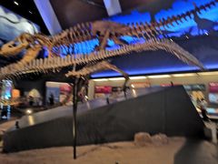 -贝林大翅鲸简餐厅(国家海洋博物馆店)