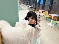 -怪兽屋·羊驼·猫咖·狗咖(俊华广场店)