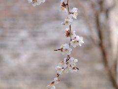 -北京明城墙遗址公园
