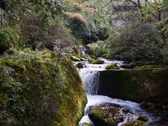 -神农架香溪源景区