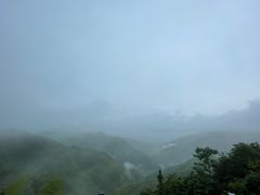 -四明山国家森林公园