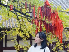 -金堂县云顶石城风景区