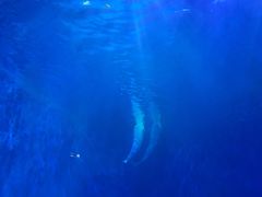 -多彩贵州城极地海洋世界