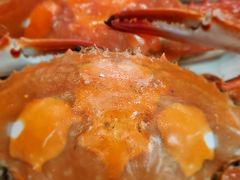 -王四营海鲜市场