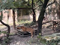 -上海野生动物园