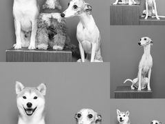 -PHOTOWITH 自助照相馆