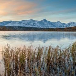 -薇兰专业脱毛连锁机构