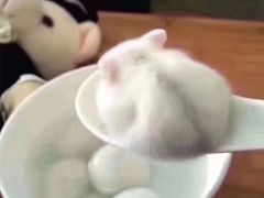 -罗森尼娜(德思勤店)