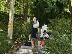 -河北省园博园