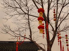 -武汉园博园(武汉自然博物馆)
