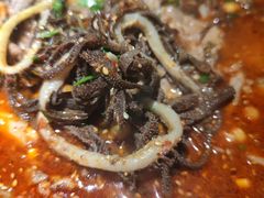 -张翻越·川渝冒菜·武汉黑鸭煲(城北万象城店)