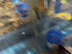 -九月海·海鲜自助(世纪东方店)