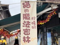 -猫的魔法密林(衣裳街店)