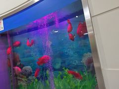 -雅悦齿科(顾村公园店)