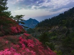 -木兰云雾山