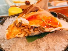 生蚝刺身-渡鲑亭(东二环泰禾广场店)