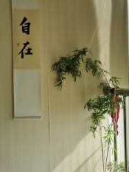 -梦白空间瑜伽馆