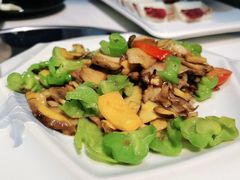 -牧雲子·臻选云南菜 .商务宴请(泰然大厦店)
