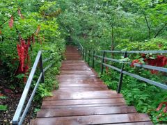 -峡谷浮石林景区