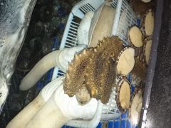 -海天一色海景自助餐厅(西港花园店)