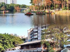 -荔湾湖公园