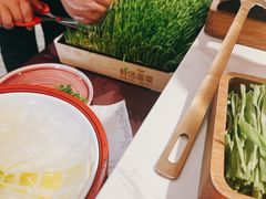 -九鼎轩脆毛肚火锅(三钢里店)