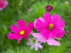 -长春公园(普阳街道)