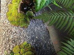 -翁暖茶馆(滨江东总店)