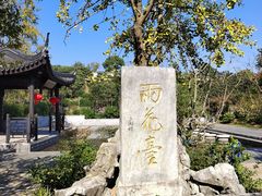 -雨花胜境