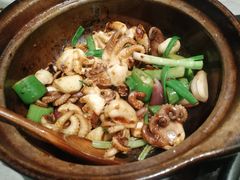 生啫八爪鱼-啫神·广州地标美食(北京路店)