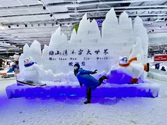 -宁波冰雪大世界(北仑区)