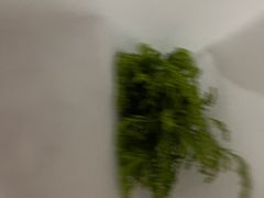 -循礼门鲜花花市(武汉循礼门店)