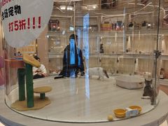 -囡的喵喵酱·萌宠生活馆·宠物洗护美容(胶州路店)