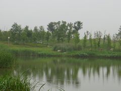 -尚贤河湿地