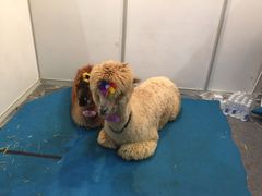 -东浩兰生上海世博展览馆