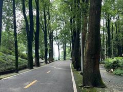 -缙云山景区
