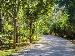 -北京麋鹿生态实验中心