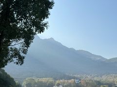 -莲峰云海景区