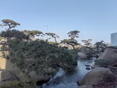 -罗红摄影艺术馆