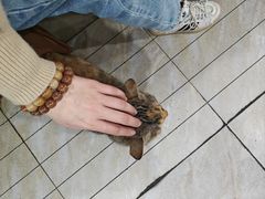 -毅记香鸭居(后堡店)