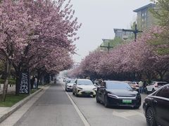 -千家粗粮王(MOMOPARK店)