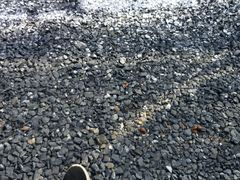 -千年银杏谷文化旅游区