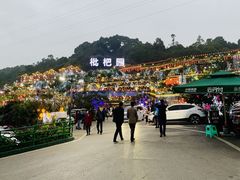 -枇杷园食为鲜火锅(南山店)